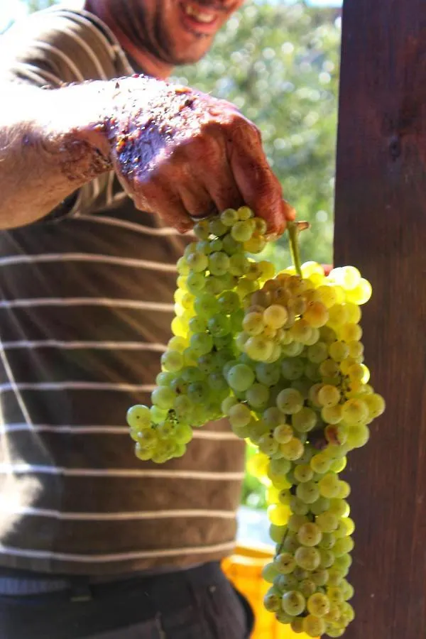 Фермерский дом Agriturismo Il Poderetto Licciana Nardi Италия